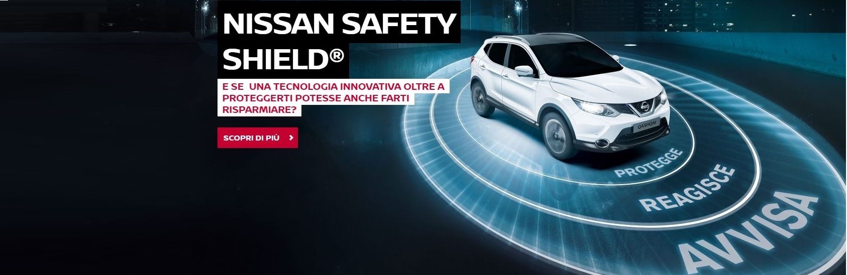 Nissan safety shields